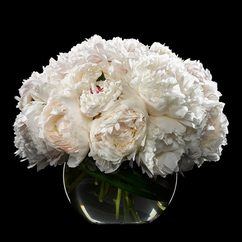 Victorian Language of Flowers: Spring Flowers and Meanings