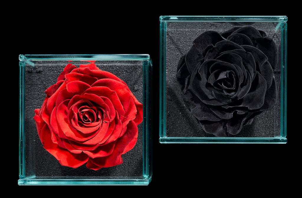 The Value of Luxury Flowers & Keeping Flowers Fresh