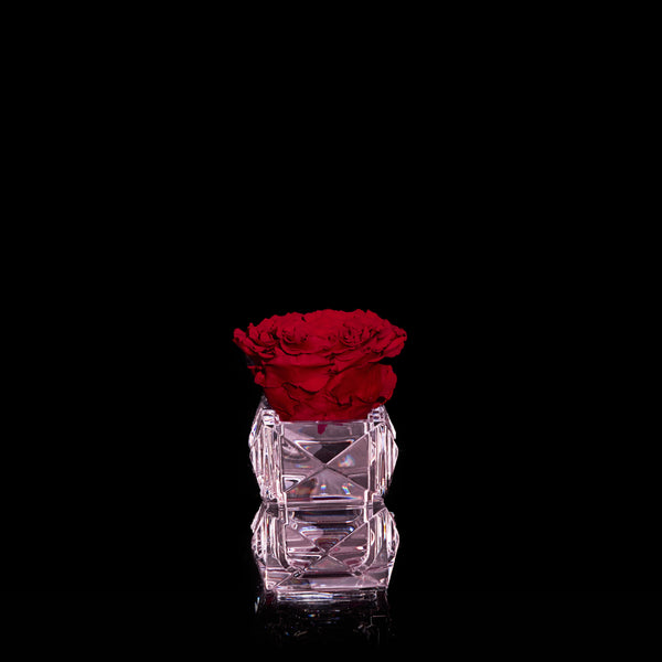 Baccarat Exclusive - Bloom Flowers