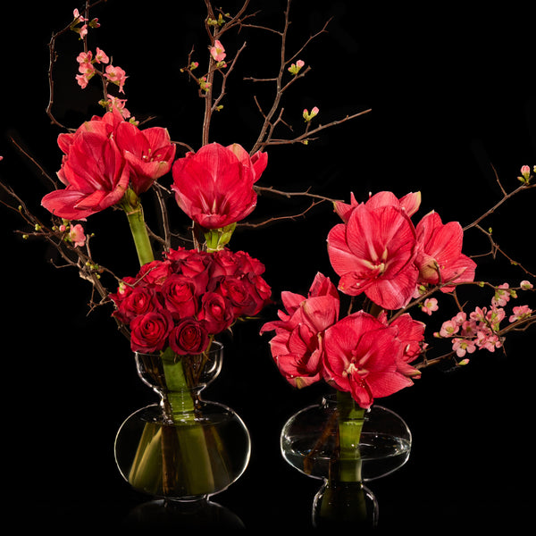 Rouge Rêve