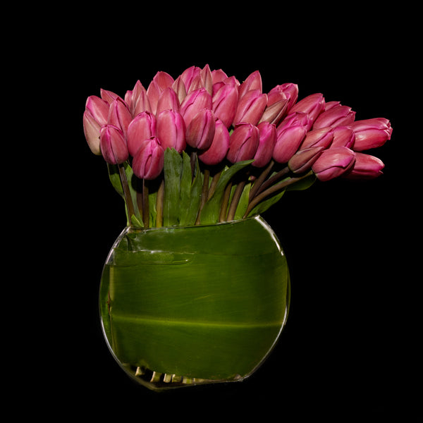 Tulipe Wow | Bloom Flowers