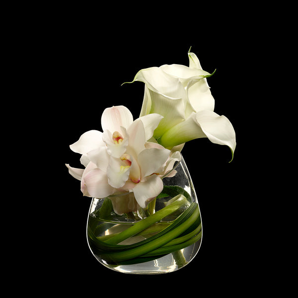 Bloom Flowers – Amuse