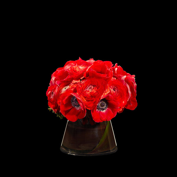 Bouche Rouge – Bloom Flowers