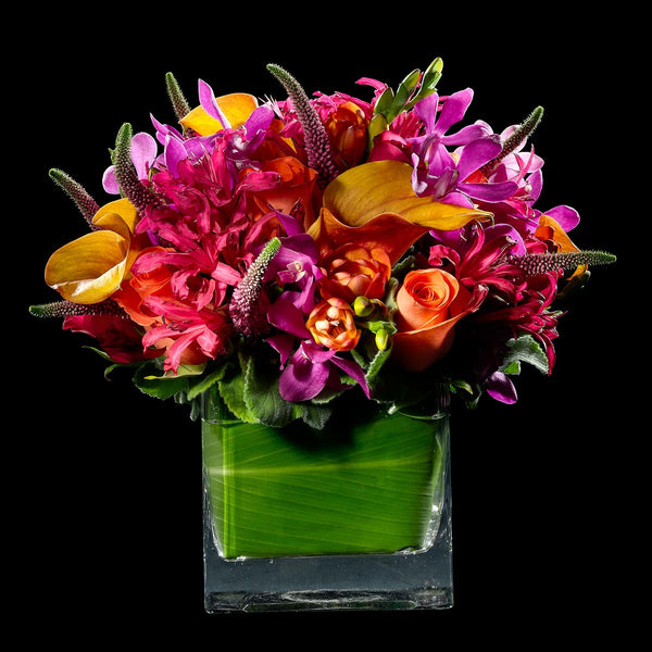 Deep Orange and Hot Pink – Bloom Flowers