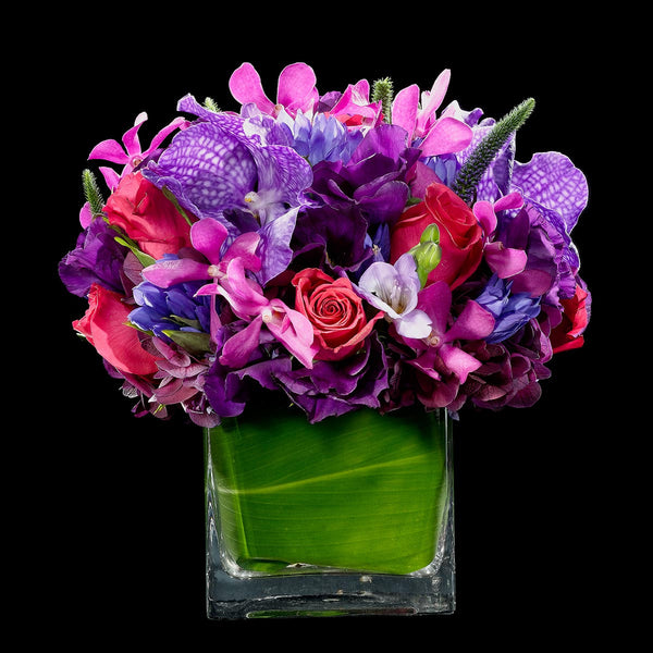 Pink and Purple – Bloom Flowers