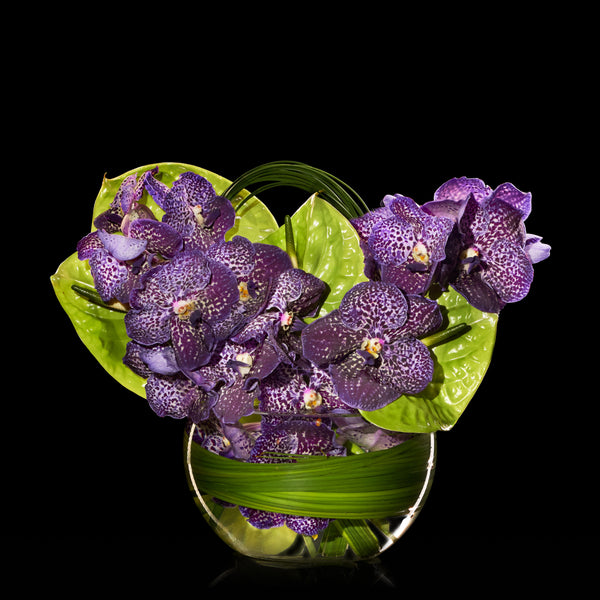 Bonheure | Bloom Flowers