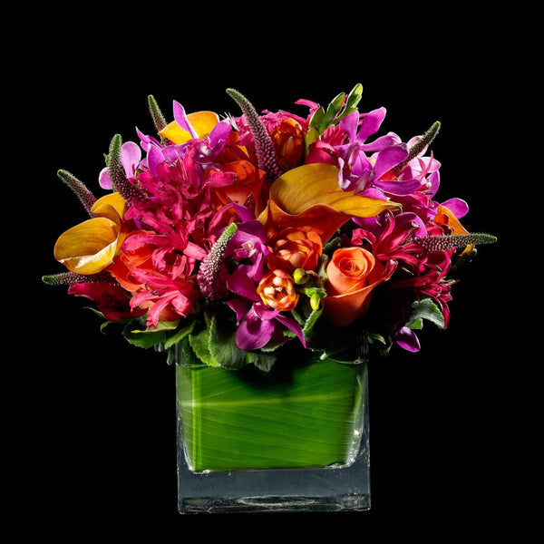 Deep Orange and Hot Pink | Bloom