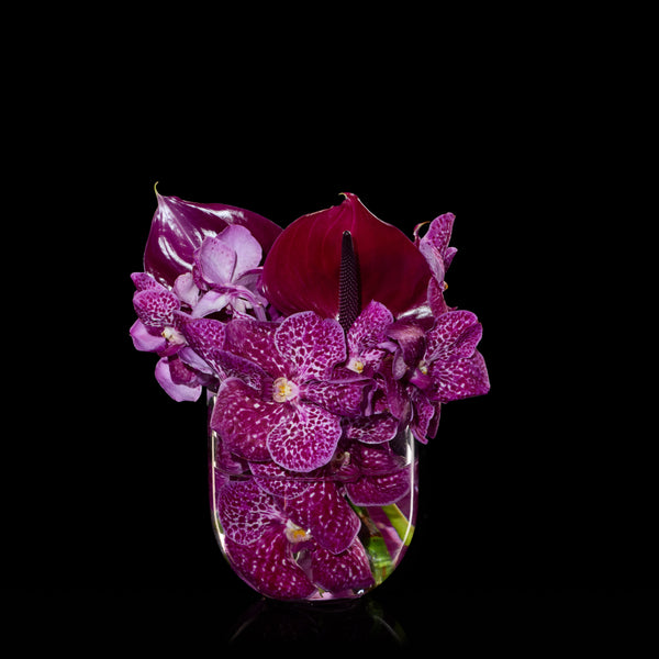 Doux Bisou | Bloom Flowers