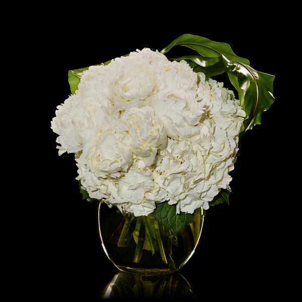 Glamour | Bloom Flowers