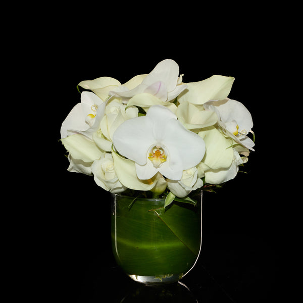 Glorious | Bloom Flowers