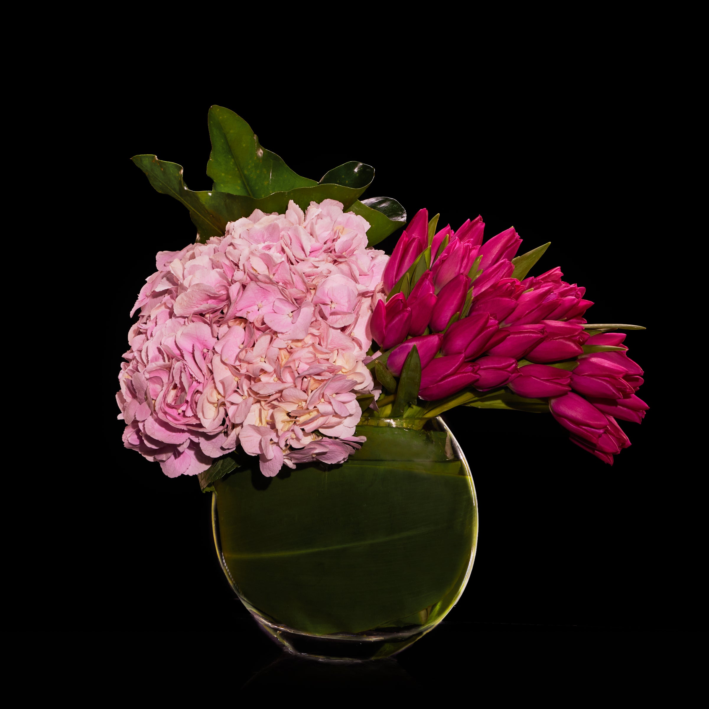 Joie de Vivre Bloom Flowers