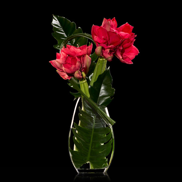 Josephine | Bloom Flowers