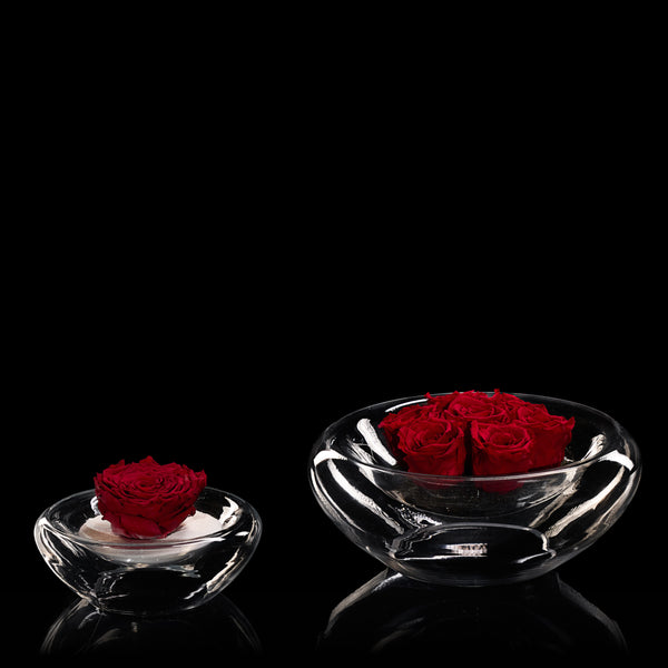 La Rose Contemporaine | Bloom Flowers