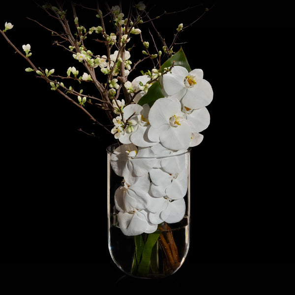 Le Printemps Blanc | Bloom Flowers