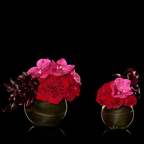 Mon Ange Rouge | Bloom Flowers