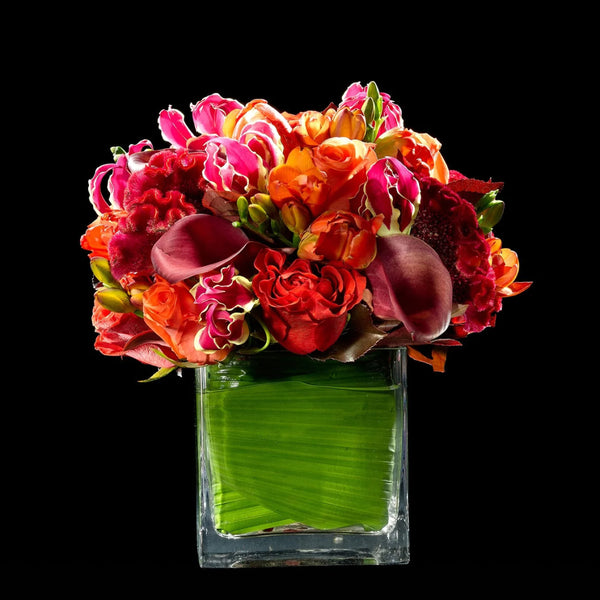 Red and Orange | Bloom