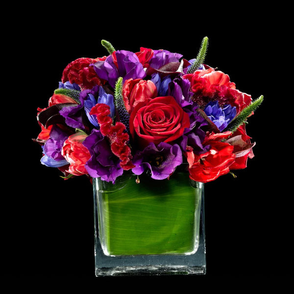 Red and Purple – Bloom Flowers