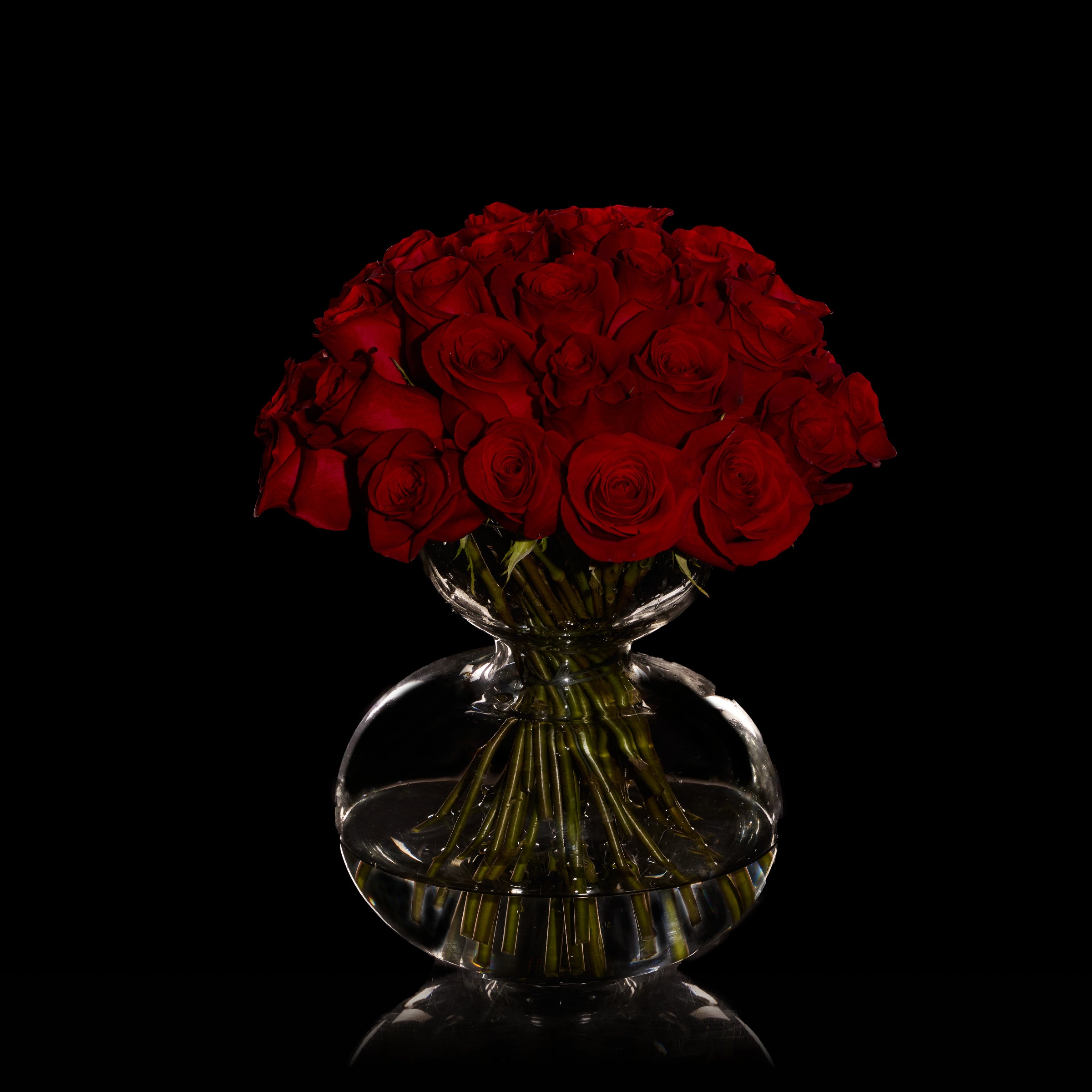 Rose Moderne | Bloom Flowers