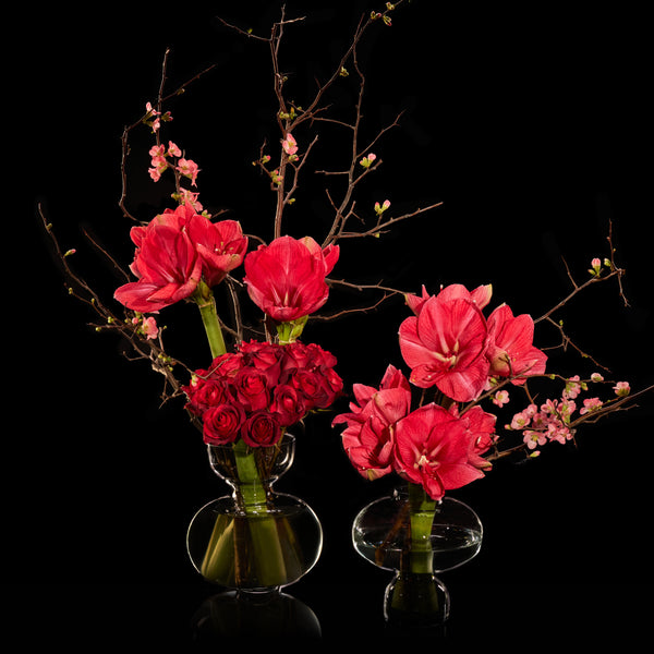 Rouge Rêve - Bloom Flowers