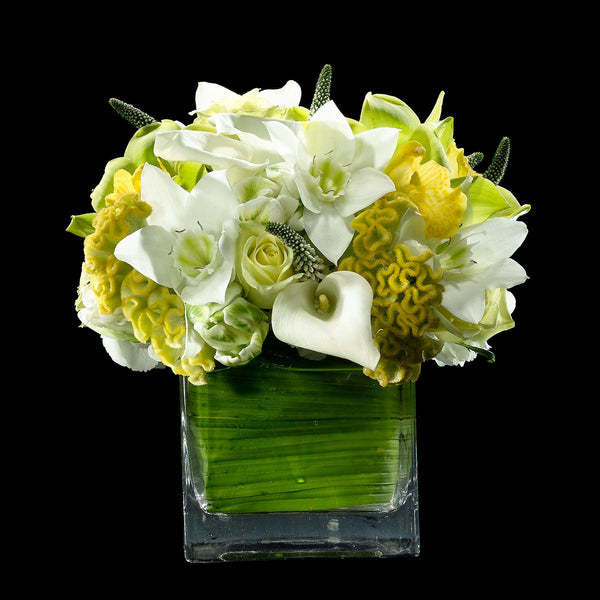 White and Lime – Bloom Flowers