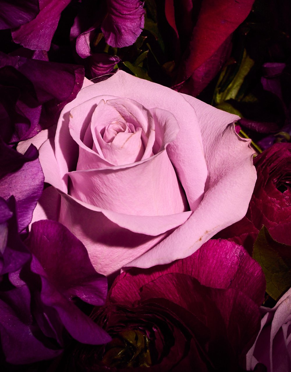 La Vie<br>en Rose